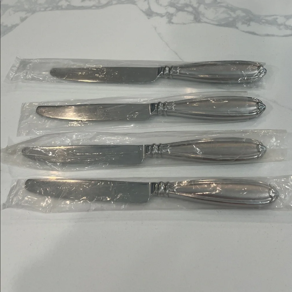 Princess House 4pc Dinner knife.